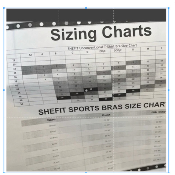 SHEFIT Unconventional T Shirt Bra Size 30 50DD Blush Pink #10017 NWT - Picture 4 of 4